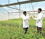 Agri Enterprises Agri Enterprises
