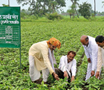 Farmer Cooperatives/SHGs/JLGs